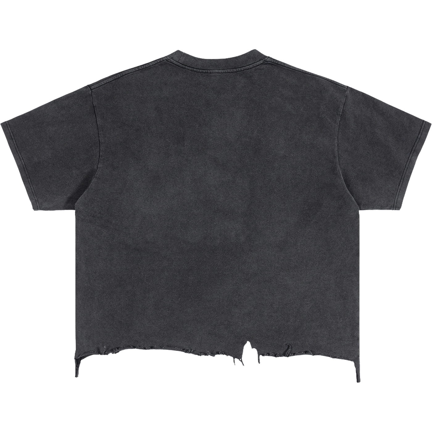 Destroyed Area 51 Alien Distressed Boxy Streetwear Tee Shirt