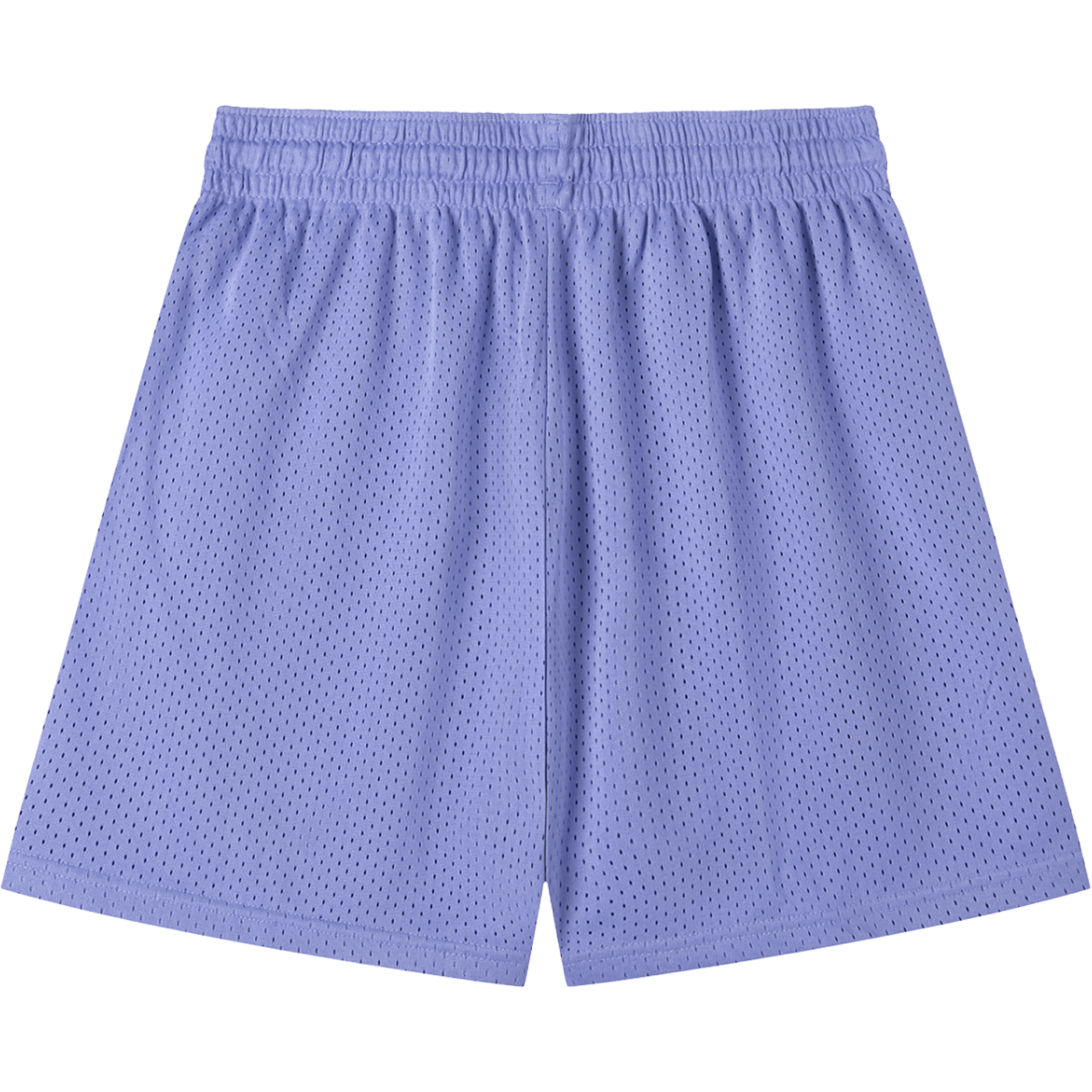Everyday Mesh Drawstring Purple Shorts